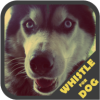 ڽ(Dog Whistle Trainer )