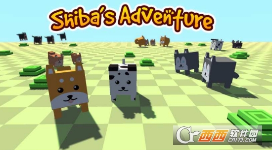 Shiba Adventure