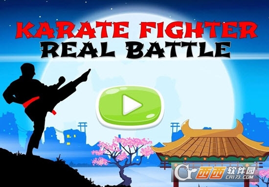 Karate Fighter : Real battles(空手道战士)