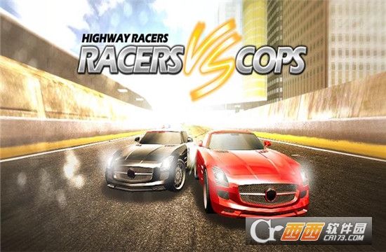 VS(Racers Vs Cops)