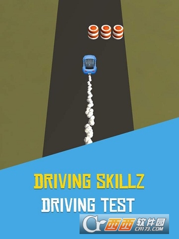 Driving Skillz(ʻ)
