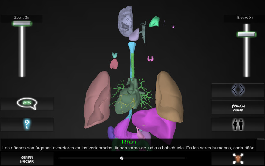 Organs 3D