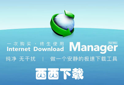 Internet Download Manager_IDM