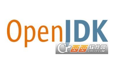 OpenJDK11