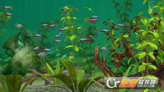 Fish Farm 3(3D)